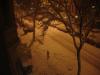 DSC00631.jpg