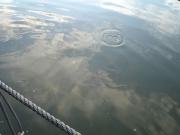 DSC01352.jpg