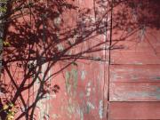 DSC02121.jpg
