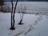 DSC02495.jpg DSC02495.jpg