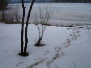 DSC02495.jpg