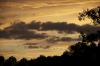 DSC 0544.jpg DSC 0544.jpg