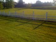 IMG 0239.jpg